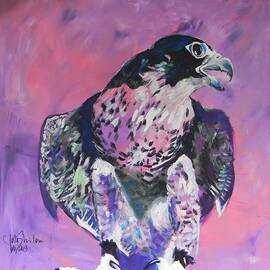 Falcon by Jolanta Shiloni