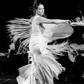 Flamenco by AM FineArtPrints