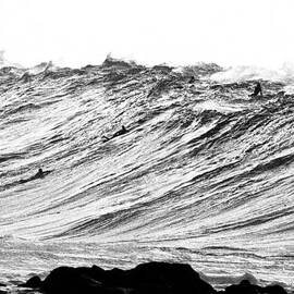 Gold Nugget BW by Sean Davey