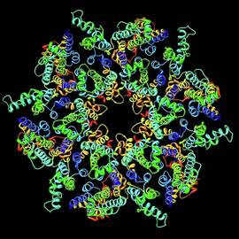 Hiv-1 Capsid In Intact Virus Particle by Science Photo Library