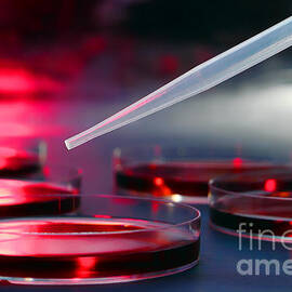 Laboratory Experiment in Science Research Lab by Olivier Le Queinec