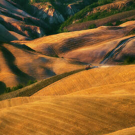 On Waves... by Krzysztof Browko