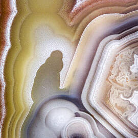 Rock Face Patterns by Jean Noren