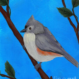 Tiny Titmouse