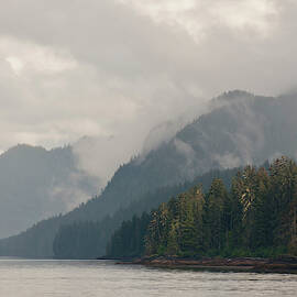 USA, Ak, Inside Passage by Trish Drury