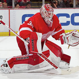Winnipeg Jets V Detroit Red Wings by Dave Reginek