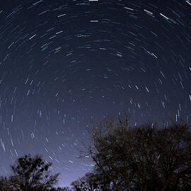 20 Minutes Of Star Movement by Todd Aaron