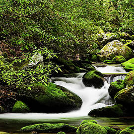 USA, Tennessee, Great Smoky Mountains by Jaynes Gallery