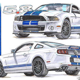 2014 Shelby GT 500 by Shannon Watts