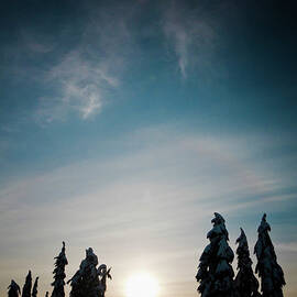 Winter Alpine Camping by Christopher Kimmel