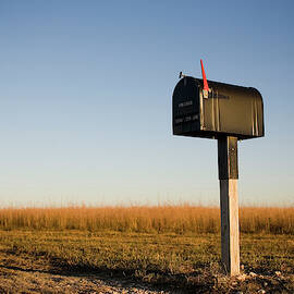 A Mailbox Stands Alone In A Kansas Corn by Michael Hanson