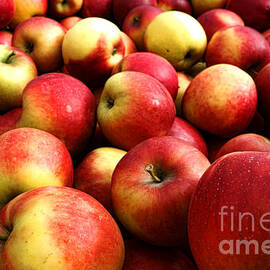 Apples by Olivier Le Queinec