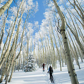 Backcountry Skiing In The Sangre by Jen Judge
