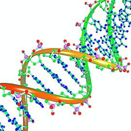 Dna Illustration