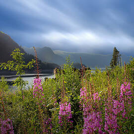 The Lake District by Martin Newman