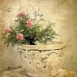 Vintage Blossom by Jessica Jenney