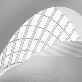 Study Of Patterns And Lines by Roland Shainidze Photogaphy