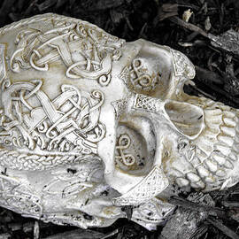 Celtic Skulls Symbolic Pathway to the other world by LeeAnn McLaneGoetz McLaneGoetzStudioLLCcom