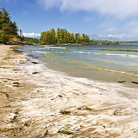 Coast of Pacific ocean on Vancouver Island 3 by Elena Elisseeva