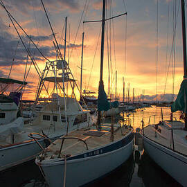 Lahaina Harbor by James Roemmling