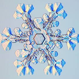 Snowflake by Science Photo Library