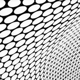 Study Of Patterns And Lines by Roland Shainidze Photogaphy