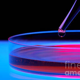 Laboratory Experiment in Science Research Lab by Science Research Lab