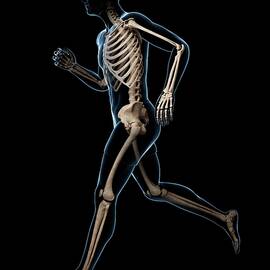 Running Skeleton
