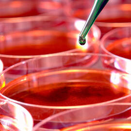 Laboratory Experiment in Science Research Lab by Science Research Lab