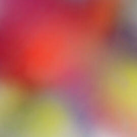Abstract Of The Color Paint by Level1studio