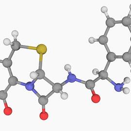 Cefaclor Drug Molecule