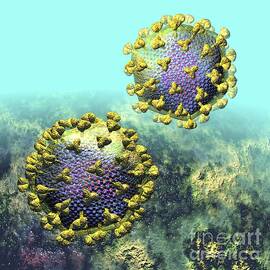 Hiv Particles, Artwork