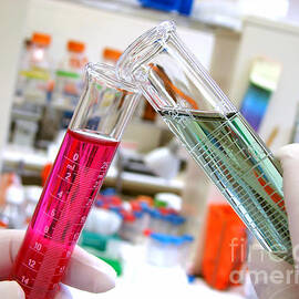 Laboratory Experiment in Science Research Lab by Science Research Lab