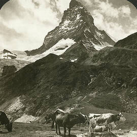 Switzerland Matterhorn by Granger