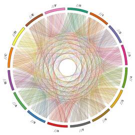 Flow of life flow of pi by Cristian Ilies Vasile