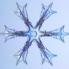 Snowflake by Science Photo Library