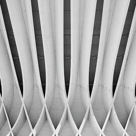 Study Of Patterns And Lines by Roland Shainidze Photogaphy