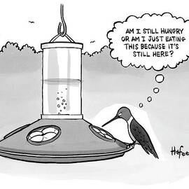 A Bird Is At A Bird Feeder by Kaamran Hafeez