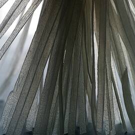 A Bunch Of Tagliolini Pasta by Romulo Yanes
