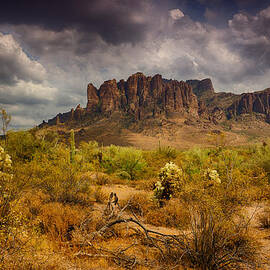 A Day at the Superstitions  by Saija  Lehtonen