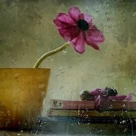 A Day To Stay At Home by Delphine Devos