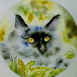 A fine cat by Anne Dalton