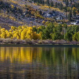 A Fine Line Between Summer and Fall by Cat Connor