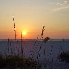 A Florida Sunset by Cynthia Guinn