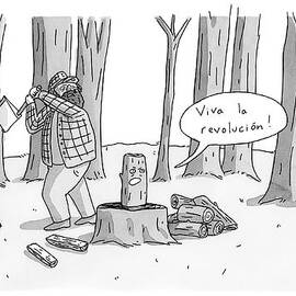 A Log With A Face Is About To Be Split In Half by Zachary Kanin