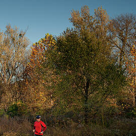 A Man Runs On The Edge Of A Field by Dan Lubbers