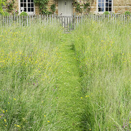 A Pathway Home by Tim Gainey
