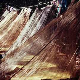 A Row Of Mosquito Netting Over Sleeping by Ron Koeberer