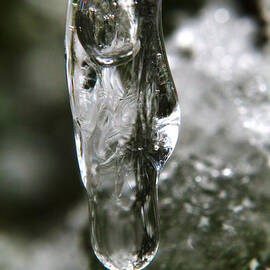 A Single Drop Of Spring by Scott Hovind