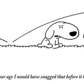 A Slightly Bigger Dog Talks To A Slightly Smaller by Charles Barsotti